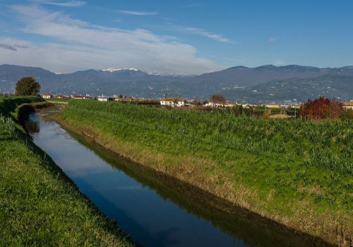 Causes de la mousse de pesticides ? Utilisation d'un antimousse pour pesticides
    